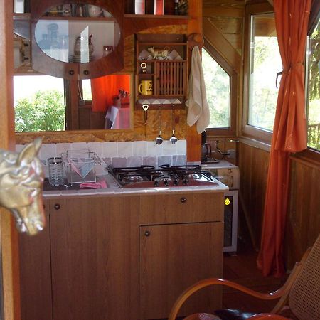 Transylvania Cowboy Cottage Kluż-Napoka Zewnętrze zdjęcie