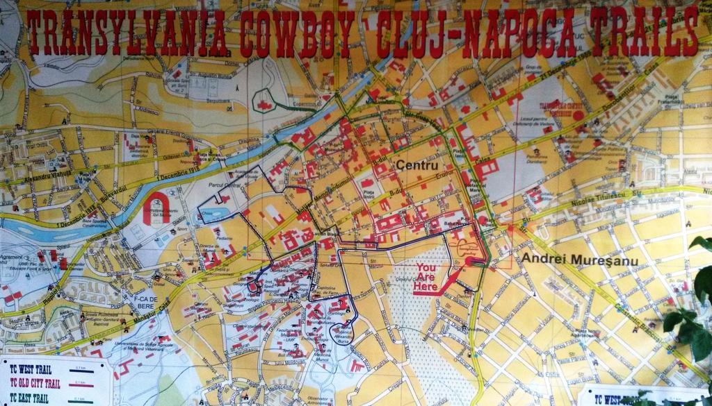 Transylvania Cowboy Cottage Kluż-Napoka Pokój zdjęcie