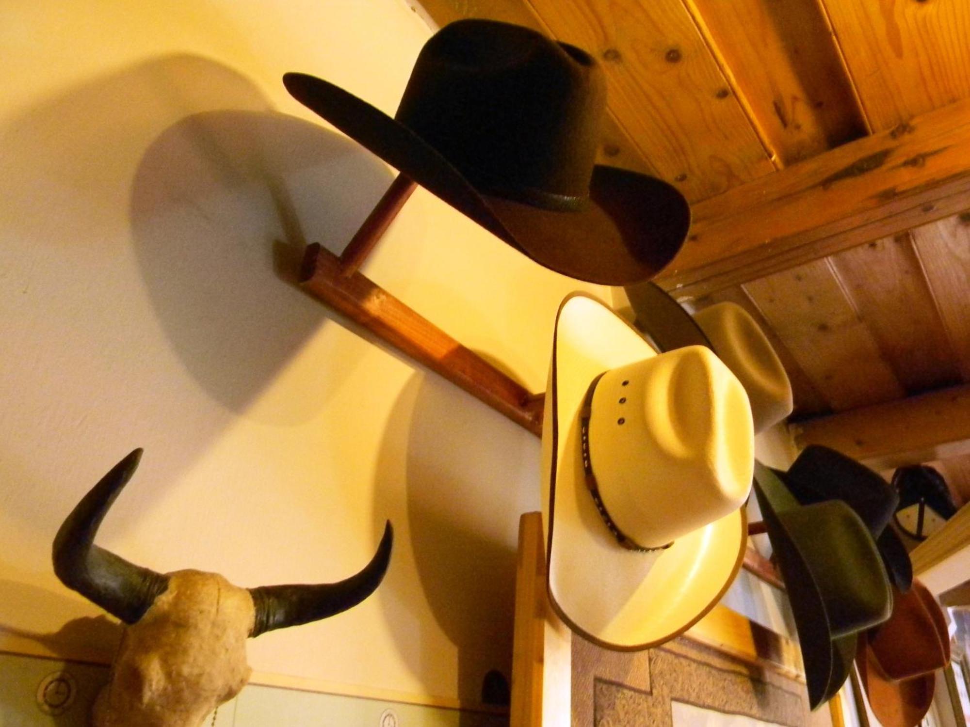 Transylvania Cowboy Cottage Kluż-Napoka Zewnętrze zdjęcie
