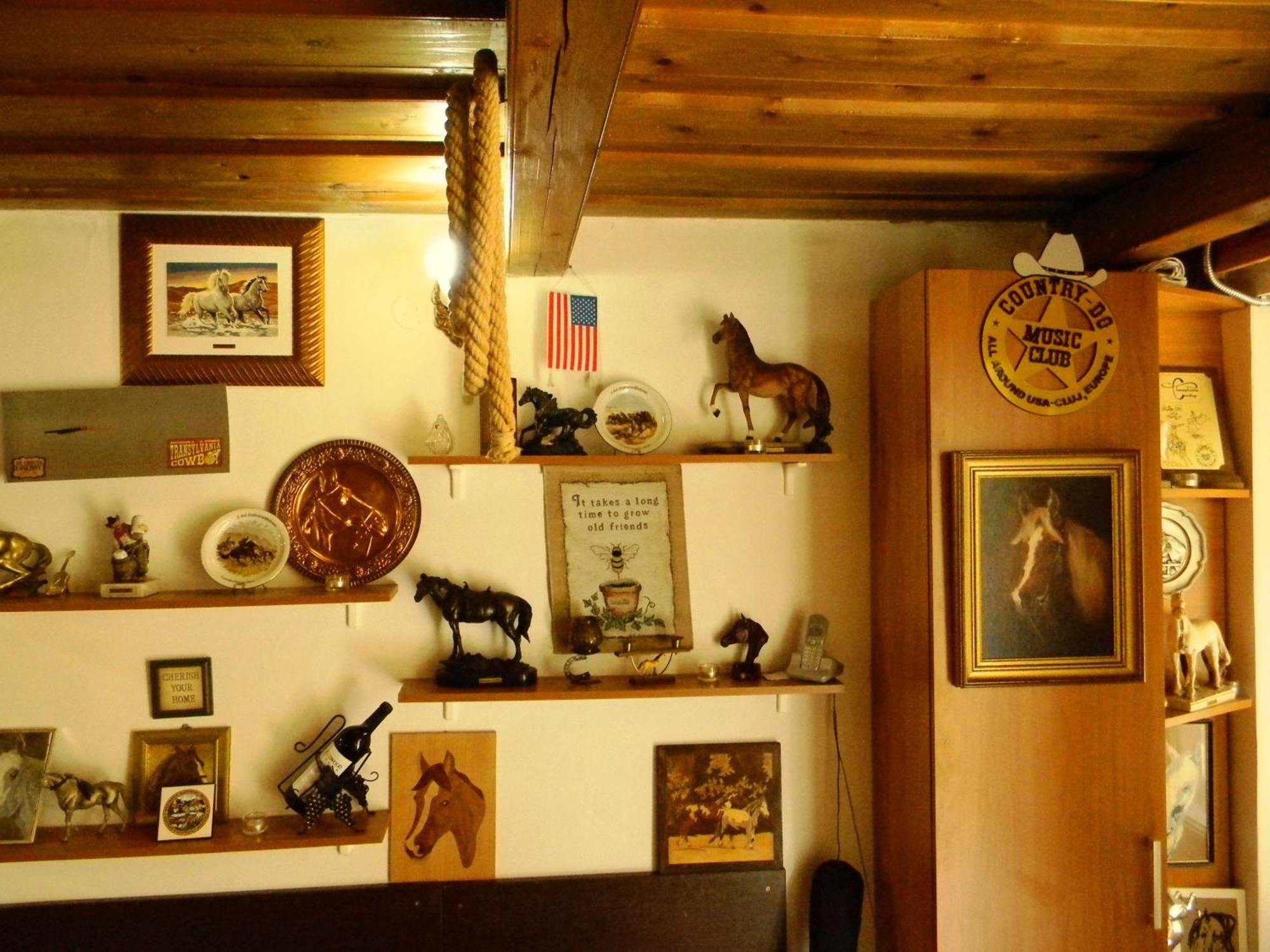 Transylvania Cowboy Cottage Kluż-Napoka Zewnętrze zdjęcie
